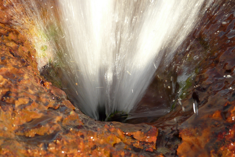Observer® Science Tourism